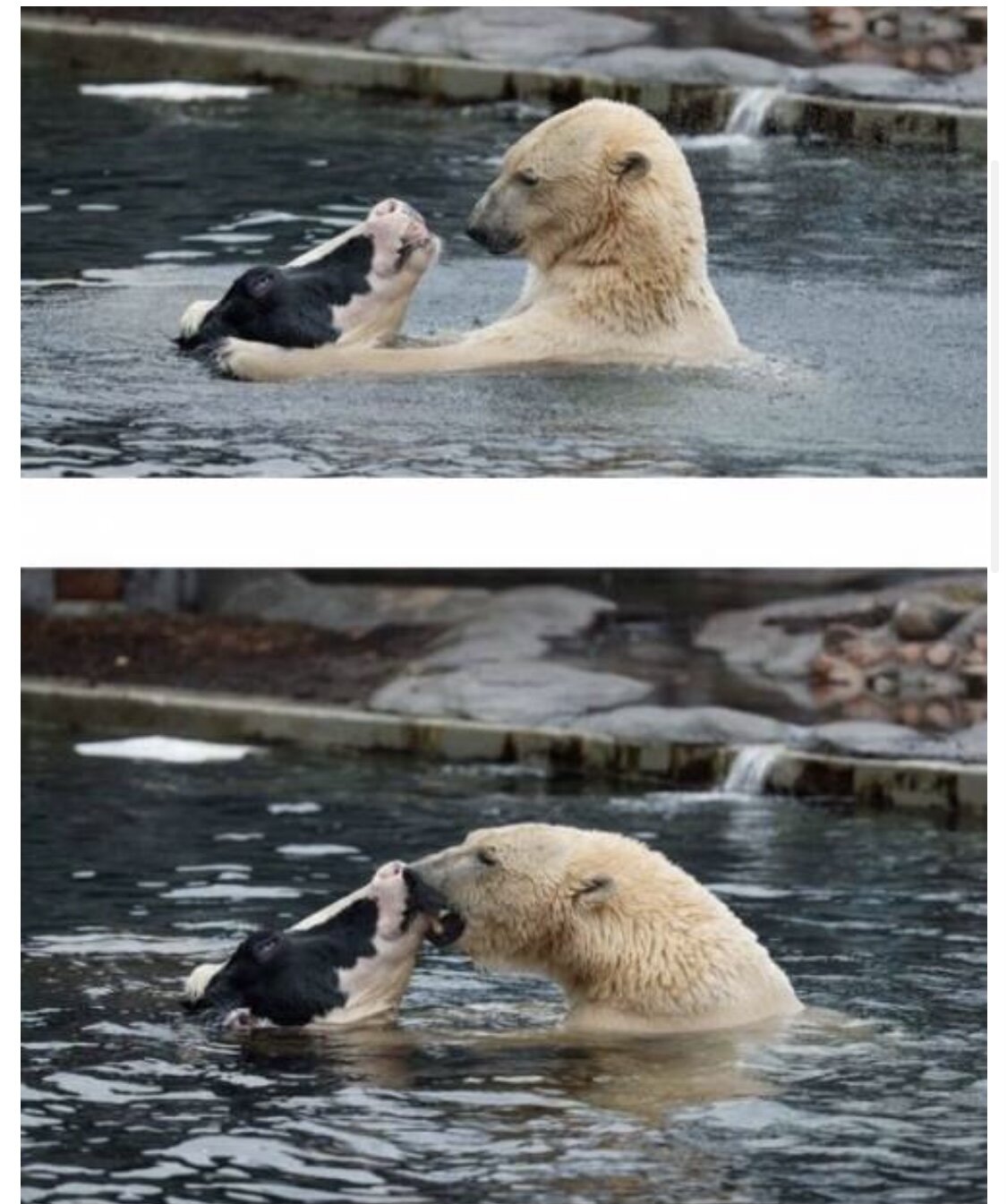 우정복사 이미지