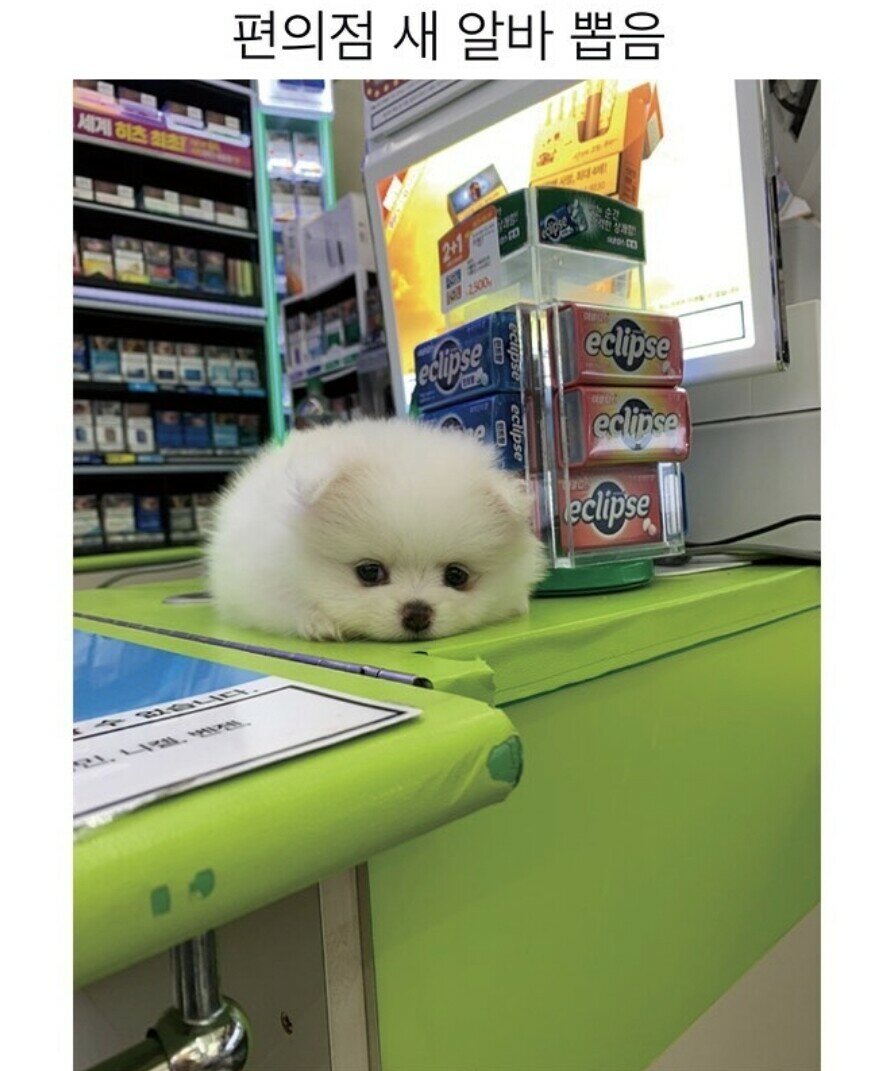 우리편의점 이미지