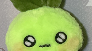 갤러리 프리뷰 이미지