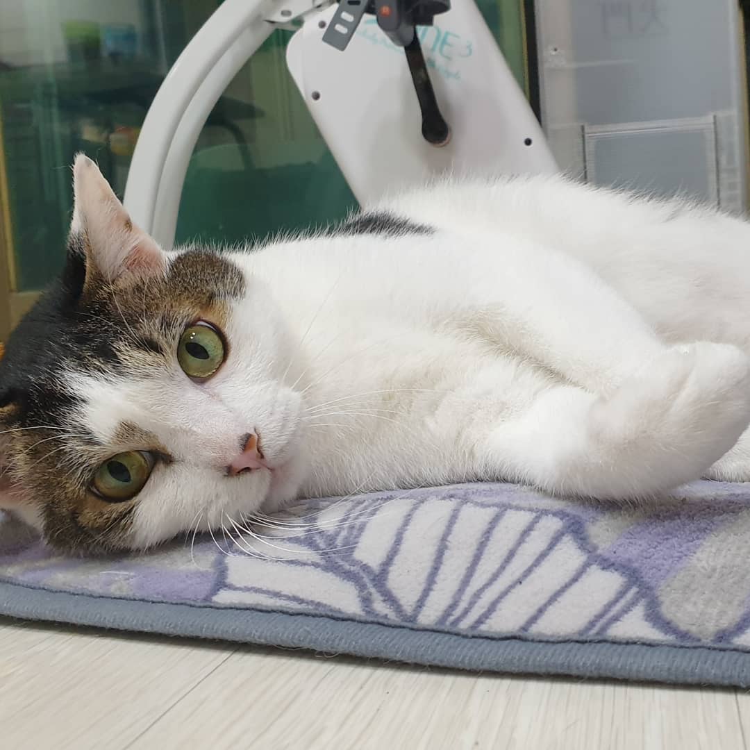 세명복사 이미지