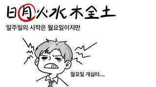 갤러리 프리뷰 이미지
