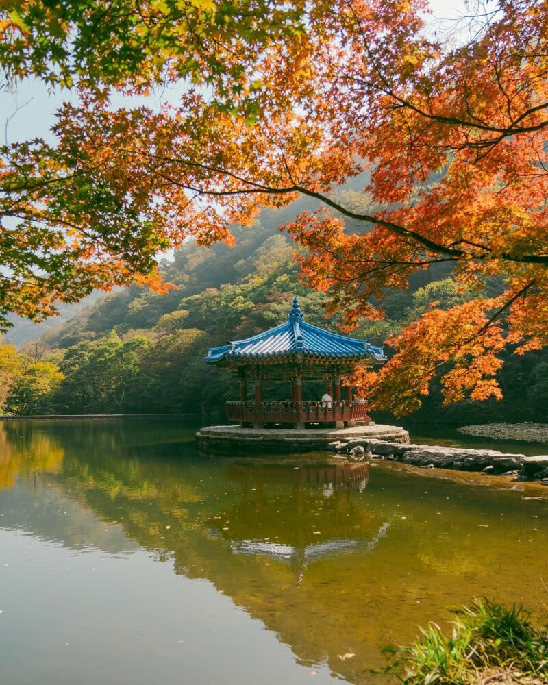 웹진 인벤 : (사진 多) 외국인들이 촬영한 한국의 가을 - 오픈이슈갤러리 (사진 多)  외국인들이 촬영한 한국의 가을