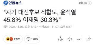 차기대선후보 적합도와 고찰