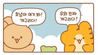한국과 일본 삼겹살 비교