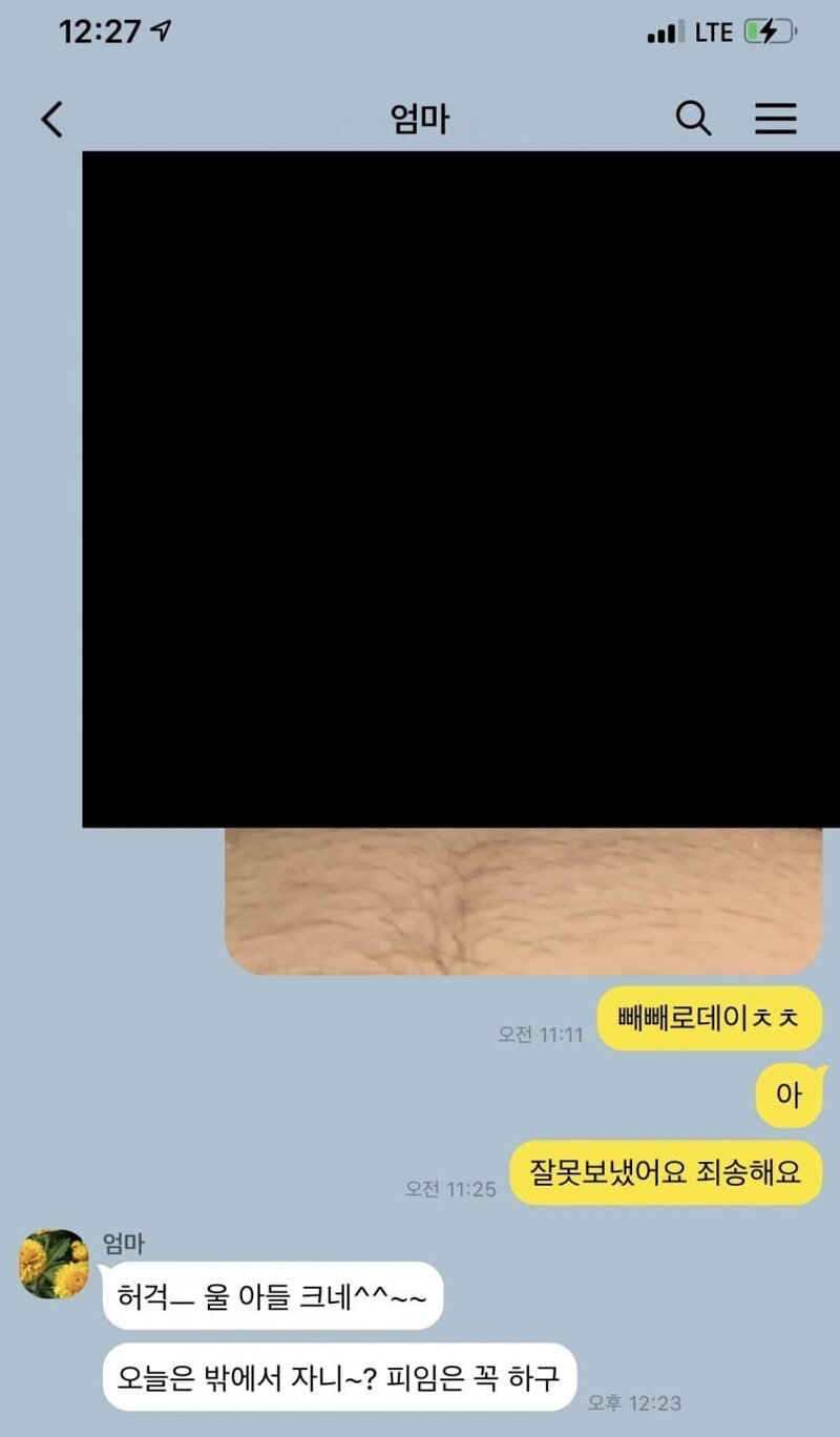 메이플데이 이미지