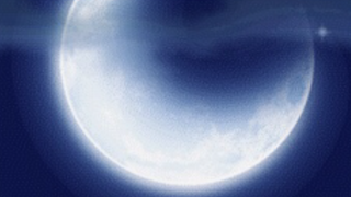 갤러리 프리뷰 이미지