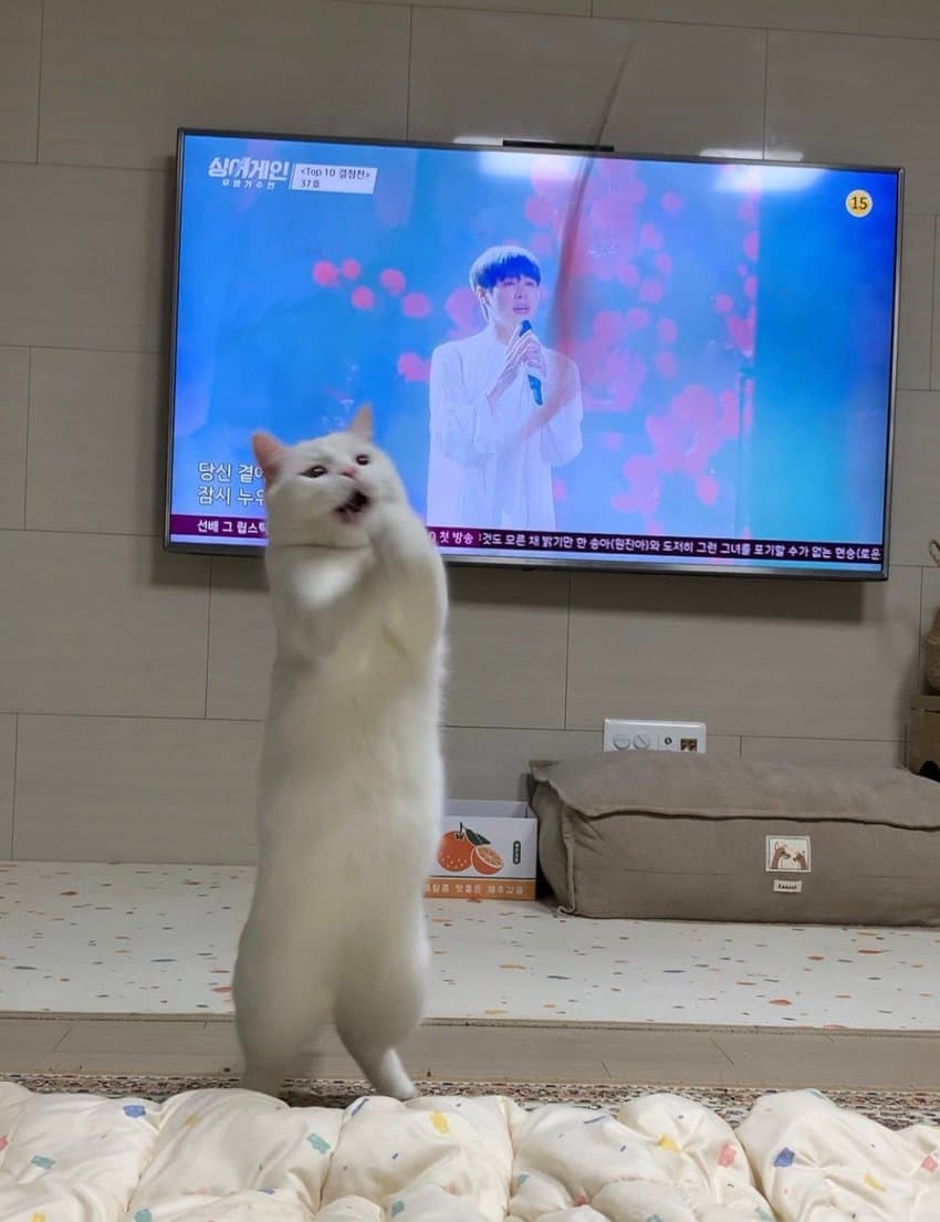 윈게임pc방 이미지