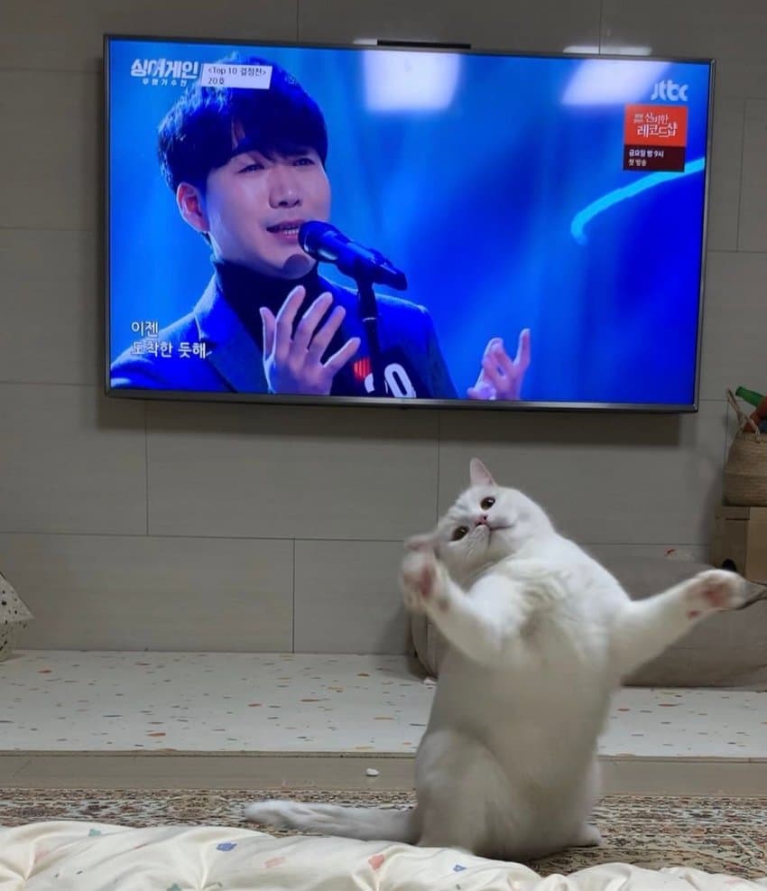 재미진동네 이미지