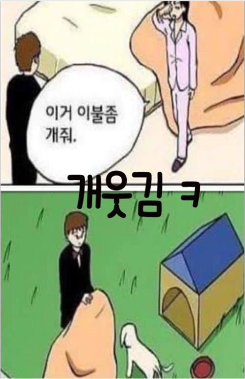 부타 이미지