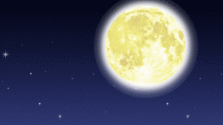 갤러리 프리뷰 이미지