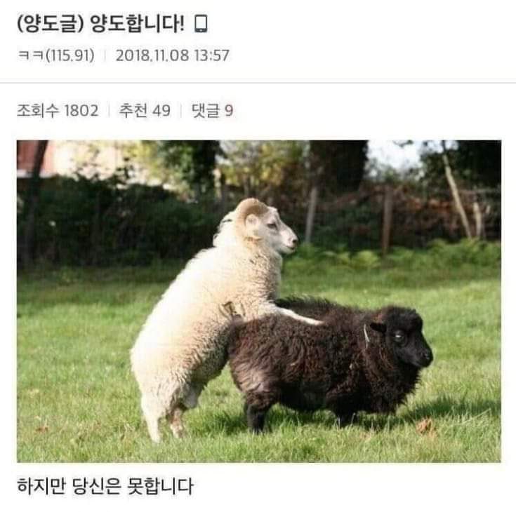 룰라PC방 이미지