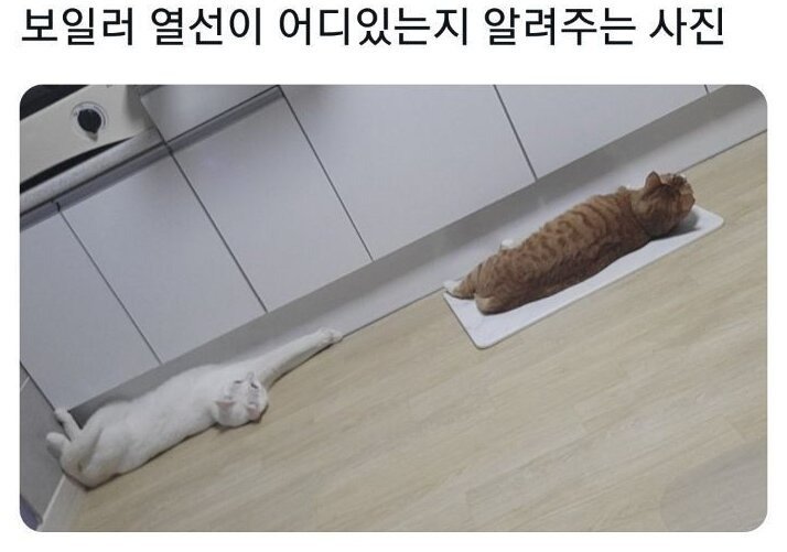 보일러박사 이미지