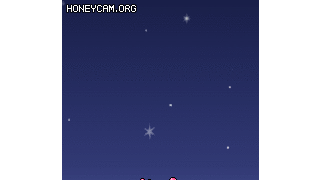 갤러리 프리뷰 이미지