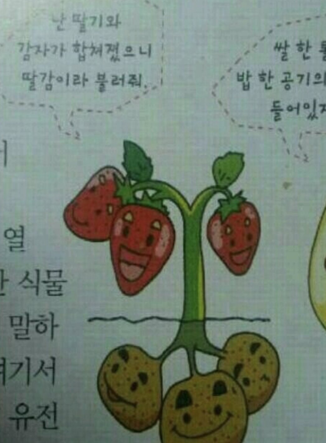 오후스토리 이미지