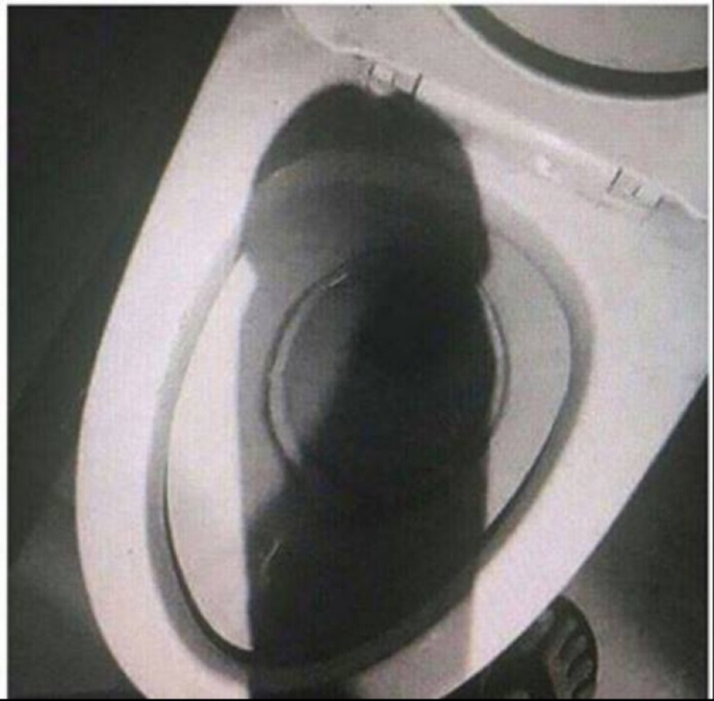 오늘 스파 이미지