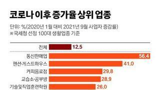 코로나 이후 자영업자 증가율