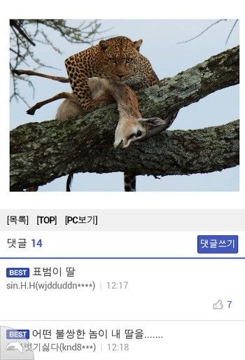 공감 이미지
