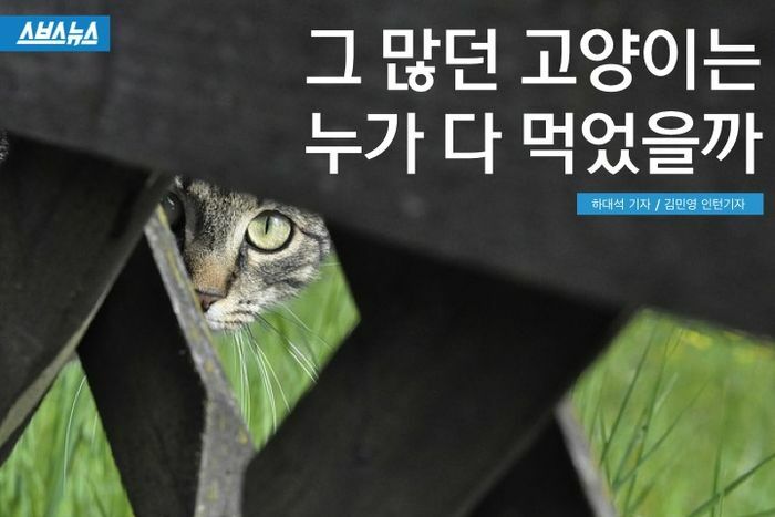 제대로 이미지