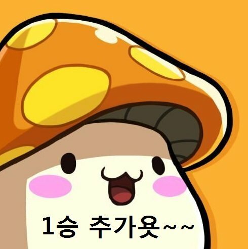 라이브발광 이미지