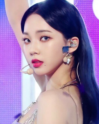쁘띠펫 이미지