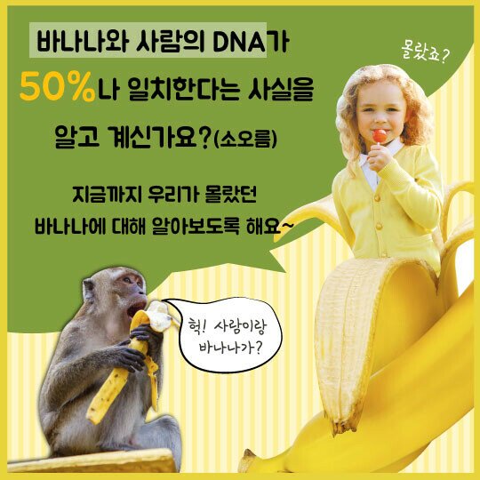 바나나스토리 이미지