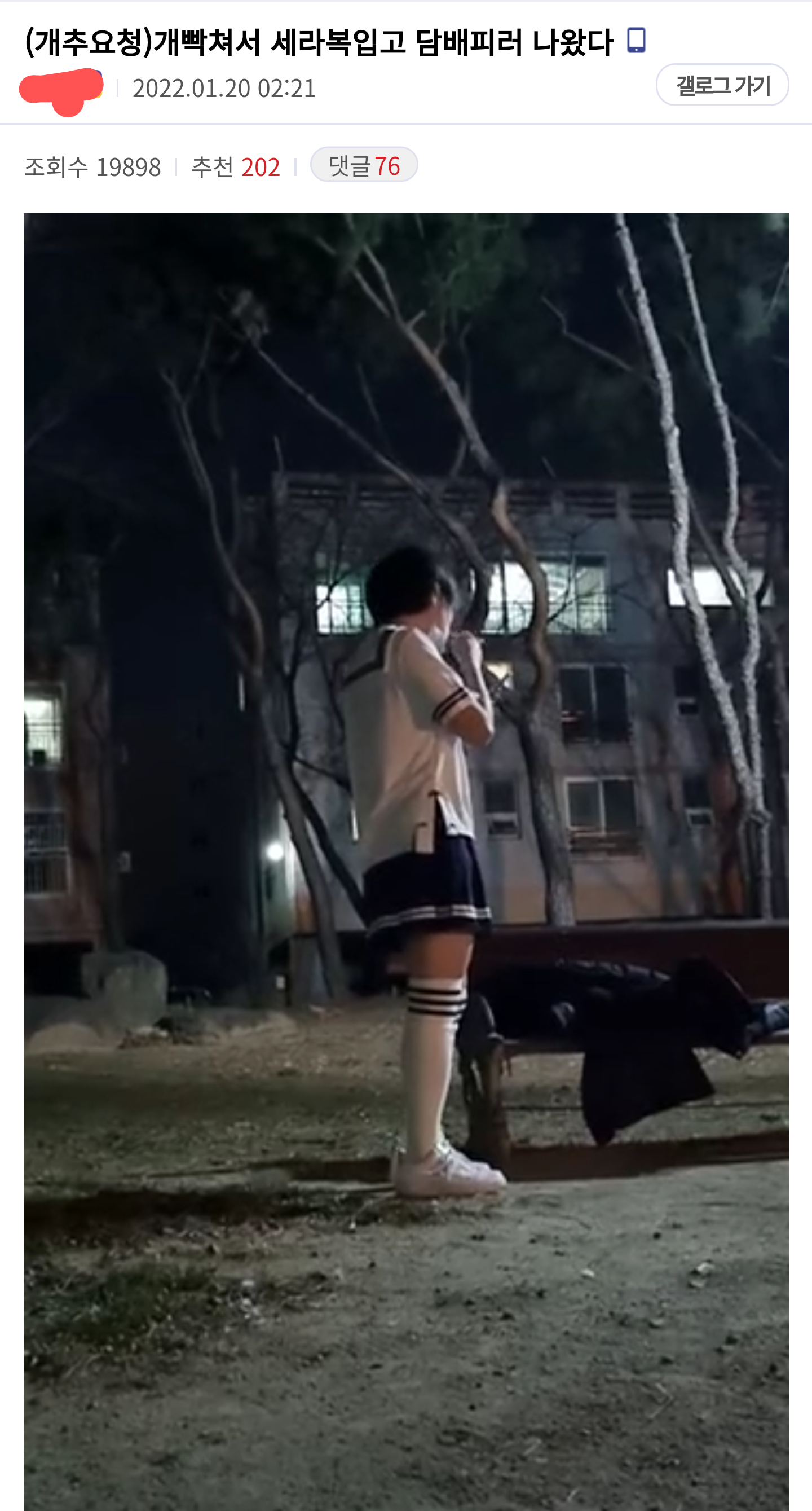 ㅎㅂ) 비트코인 개떡락... 광기의 코인 갤러리 근황 | 메이플 인벤