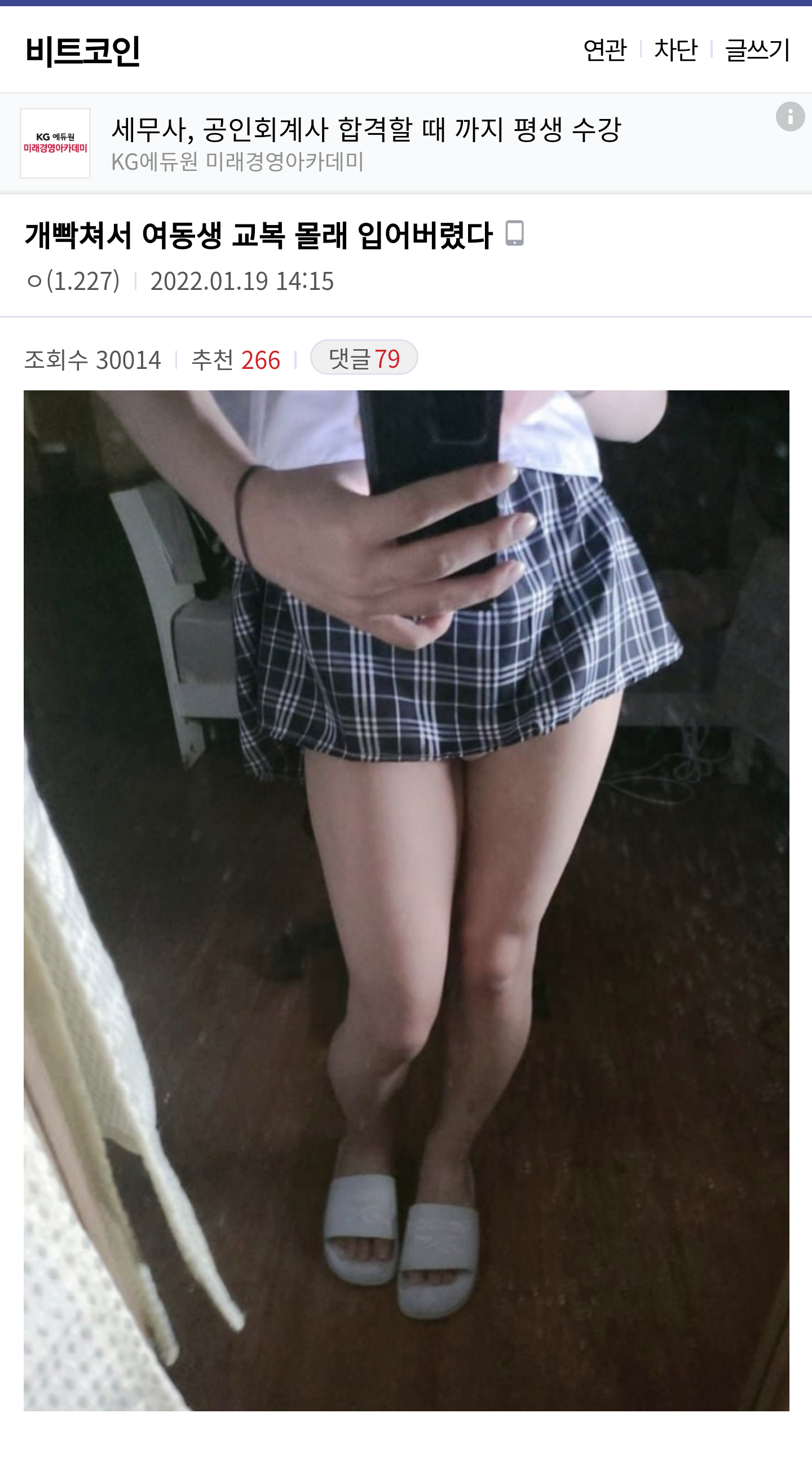 ㅎㅂ) 비트코인 개떡락... 광기의 코인 갤러리 근황 | 메이플 인벤