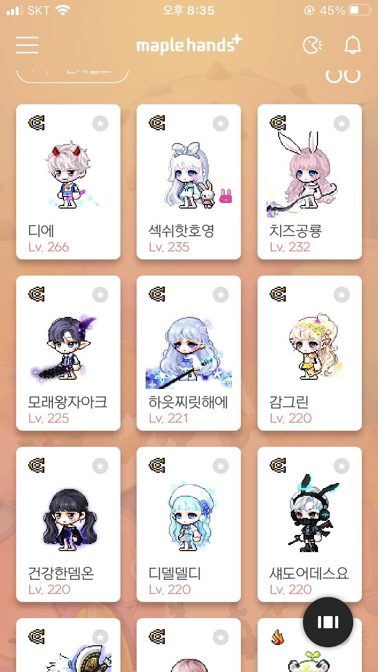 아나메르 이미지