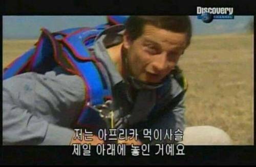 코하네 이미지