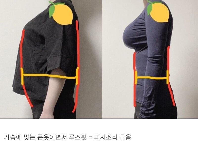 웹진 인벤 : 가슴 큰 사람이 딱붙는 옷을 입는 이유.JPG - 오픈이슈갤러리 가슴 큰 사람이 딱붙는 옷을 입는 이유.JPG