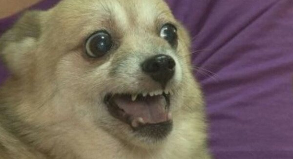 궁PC방 이미지