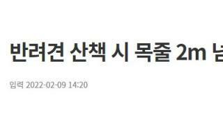 반려견 산책시 목줄 2m 넘으면 과태료 50만원 낸다