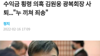 수익금 횡령 의혹 김원웅 광복회장 사퇴...