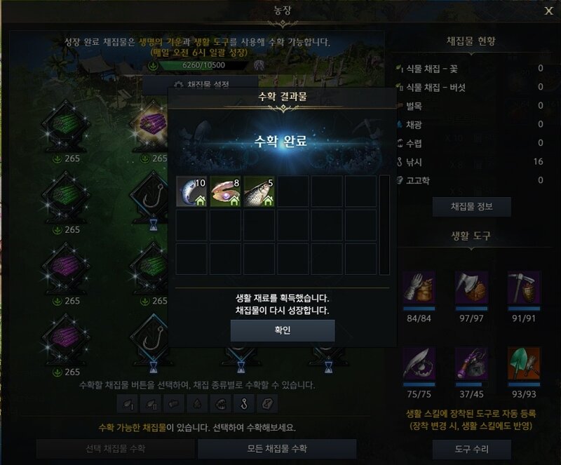 영지 자동 채집 농장의 생활 도구 등급 차이 유무 | 로아 인벤 영지 자동 채집 농장의 생활 도구 등급 차이 유무 | 로아 인벤