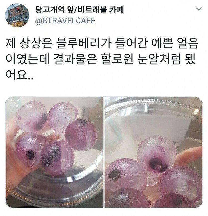 블루베리스토리 이미지