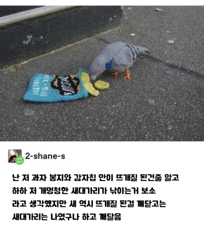 새 이미지
