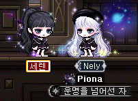 월드헤어 이미지