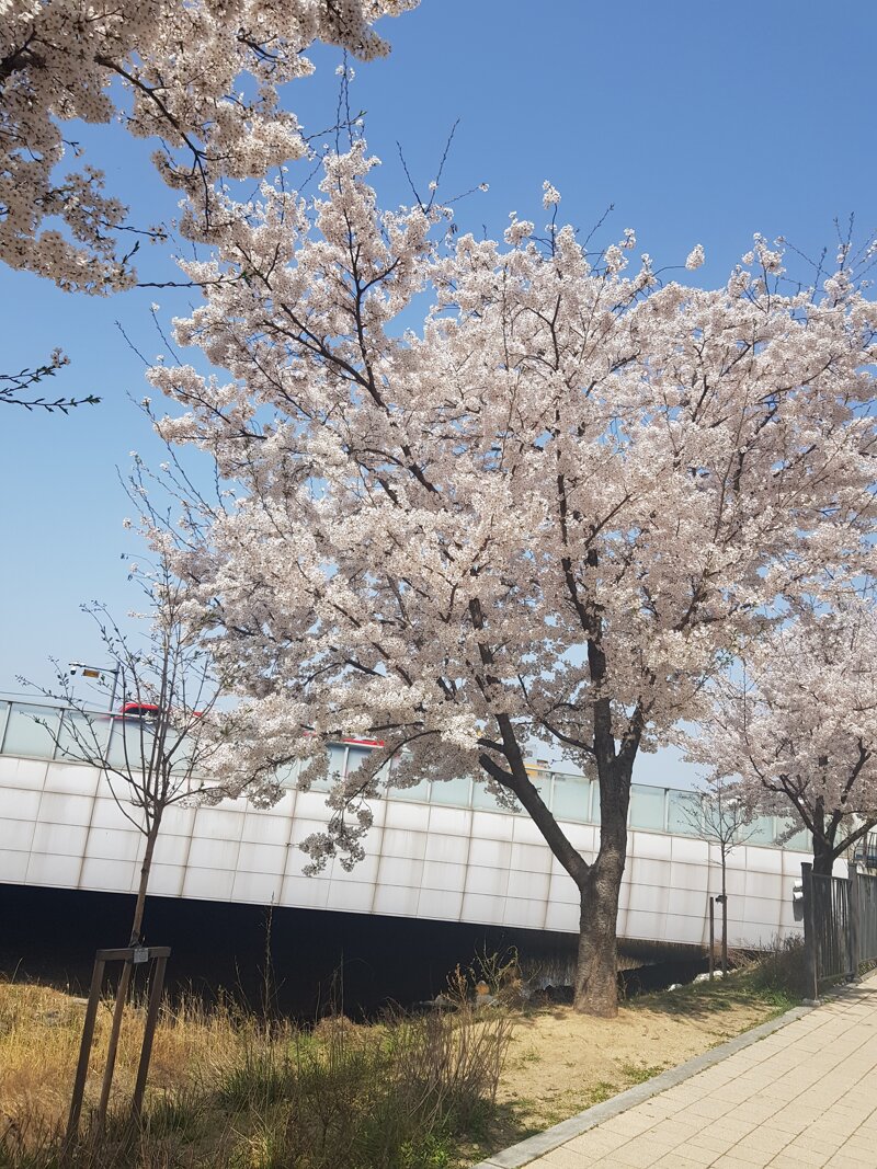 오늘날씨 덥네 쓰발 - 디아블로3 인벤 자유게시판 - 디아블로3 인벤 오늘날씨 덥네 쓰발 - 디아블로3 인벤 자유게시판