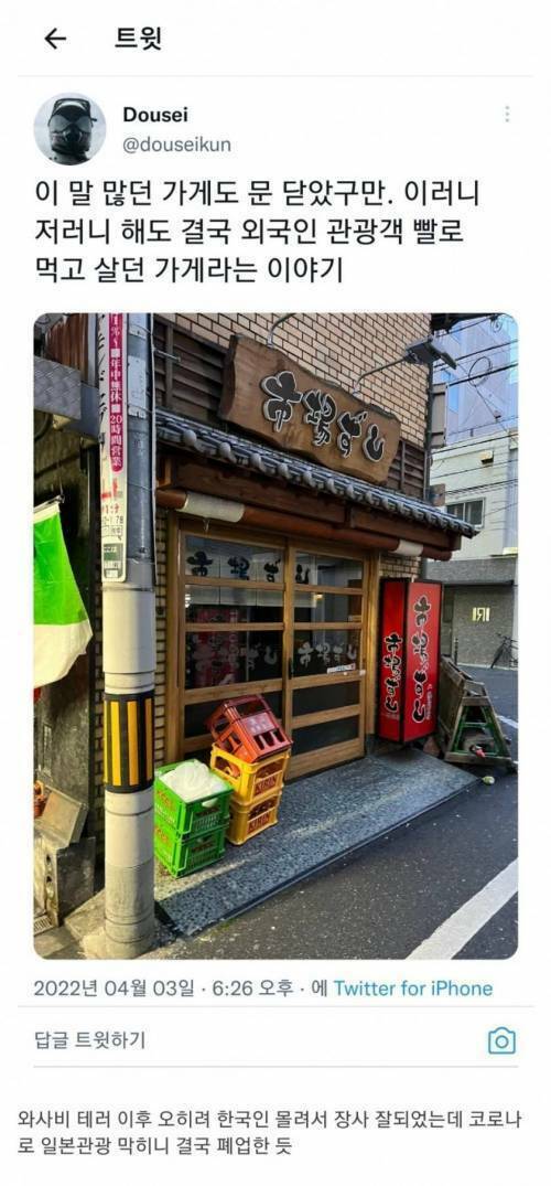 아라스시 이미지