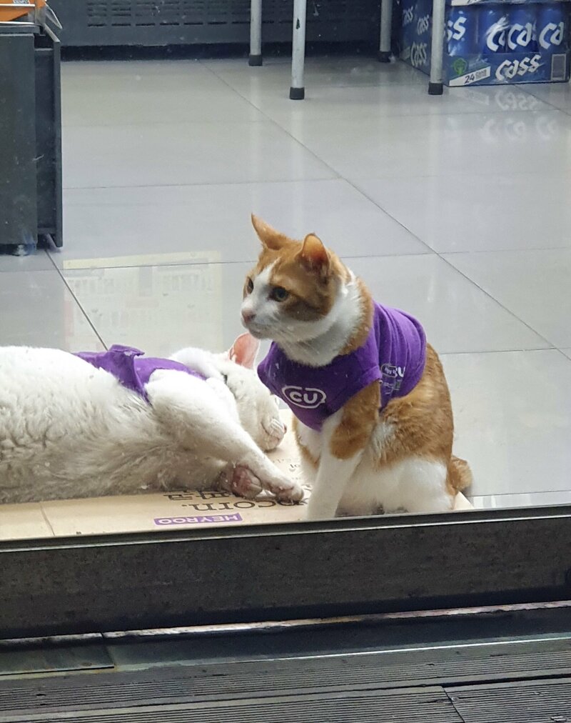 우리동네편의점 이미지