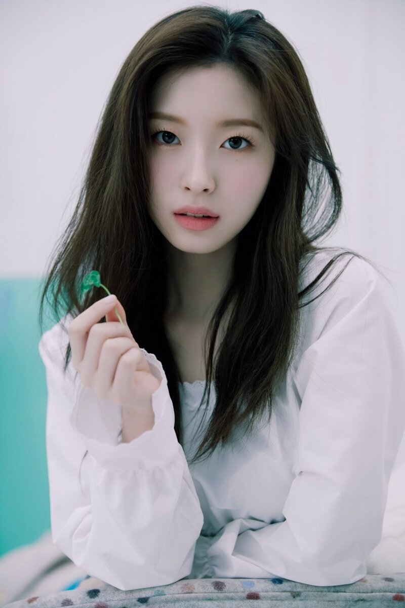 봄세탁소 이미지