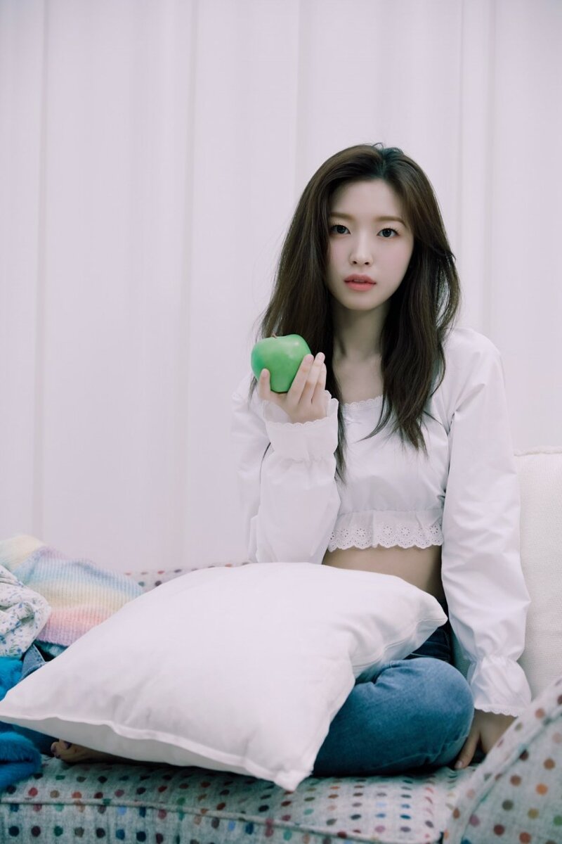 봄세탁소 이미지