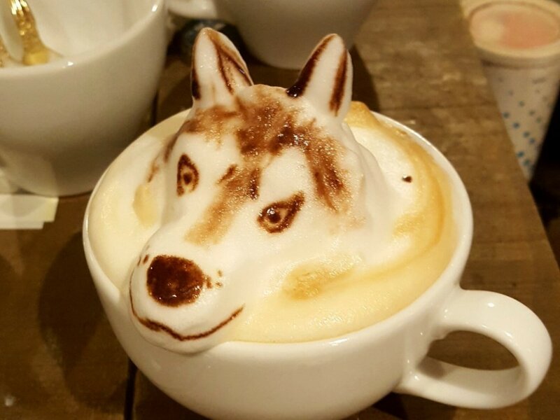마심 이미지