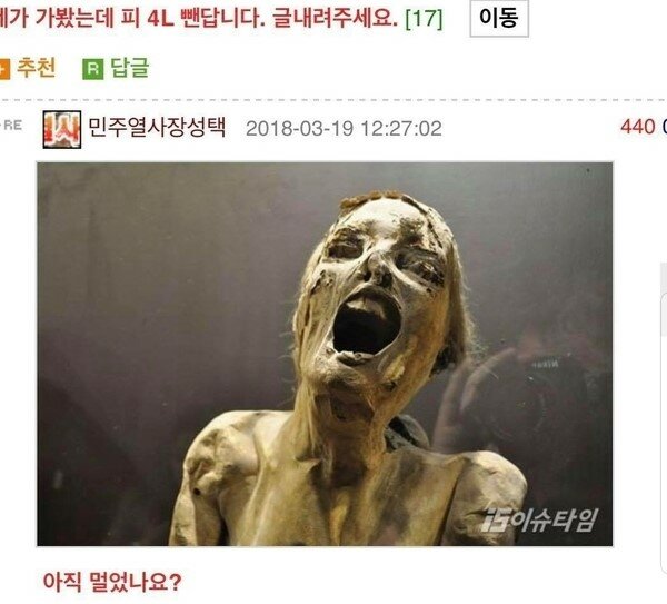 더샤벳 이미지