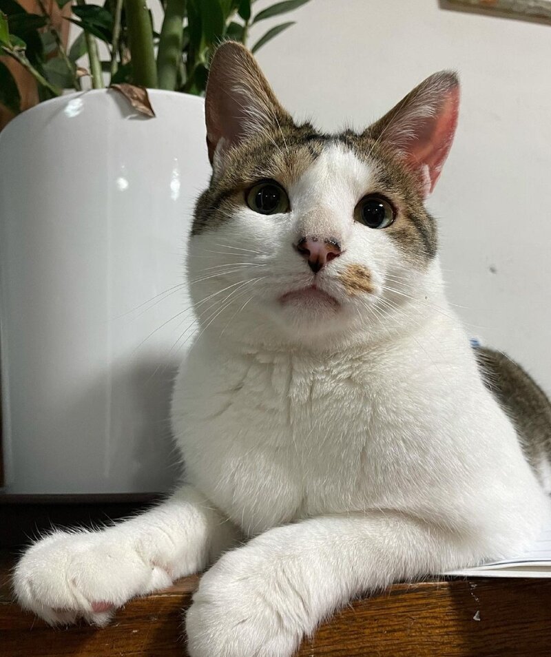놀토PC방 이미지