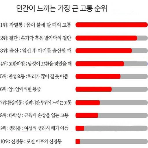 불독PC방 이미지