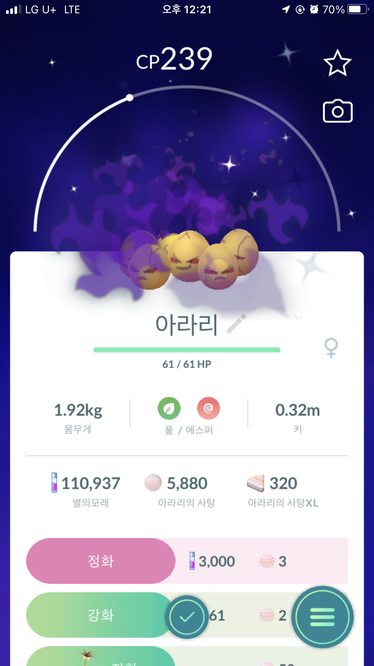 포켓몬 GO 인벤 : 그림자 이로치 아라리 - 포켓몬GO 인벤 인증 자랑 게시판 그림자 이로치 아라리
