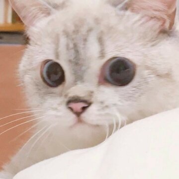 더가까운PC방 이미지