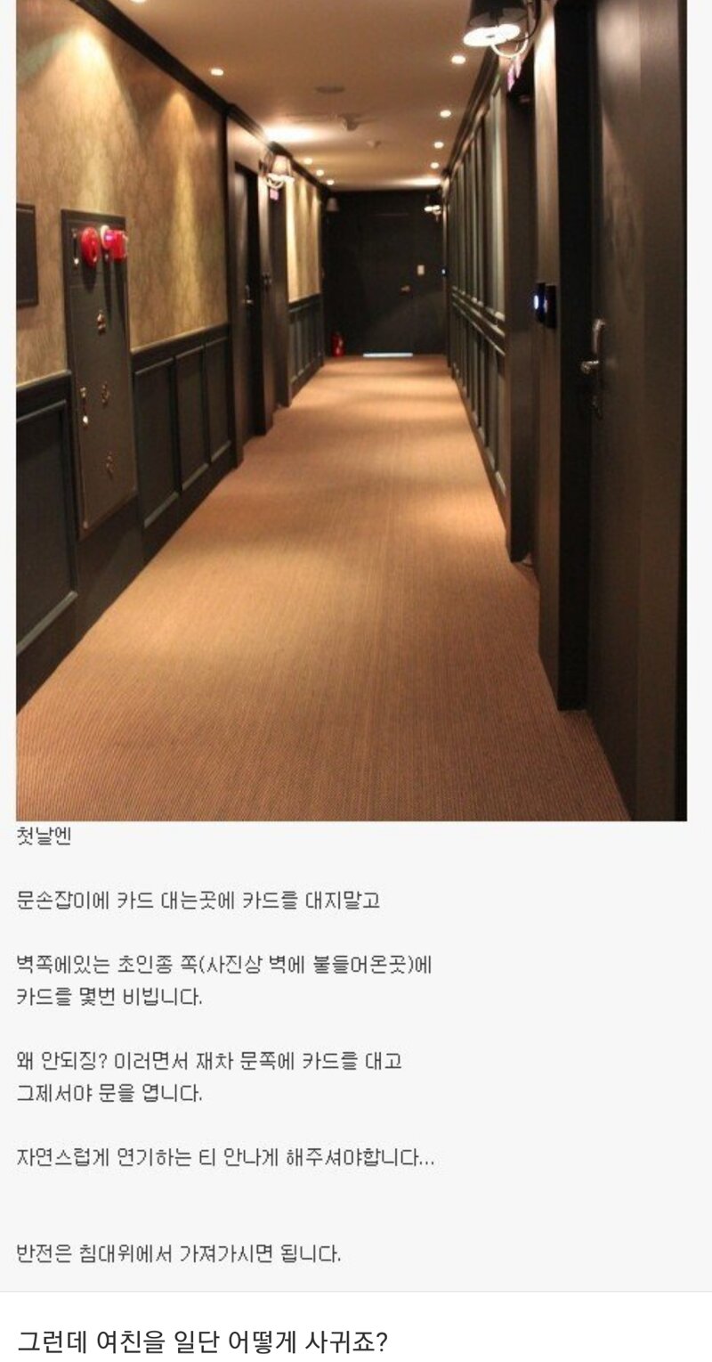 다람쥐모텔 이미지