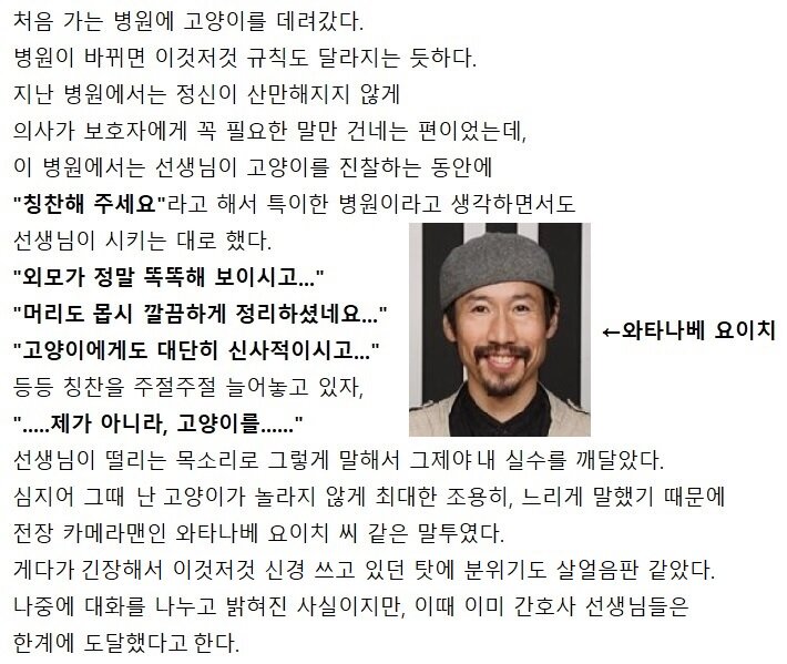 고양이와 와사비 이미지